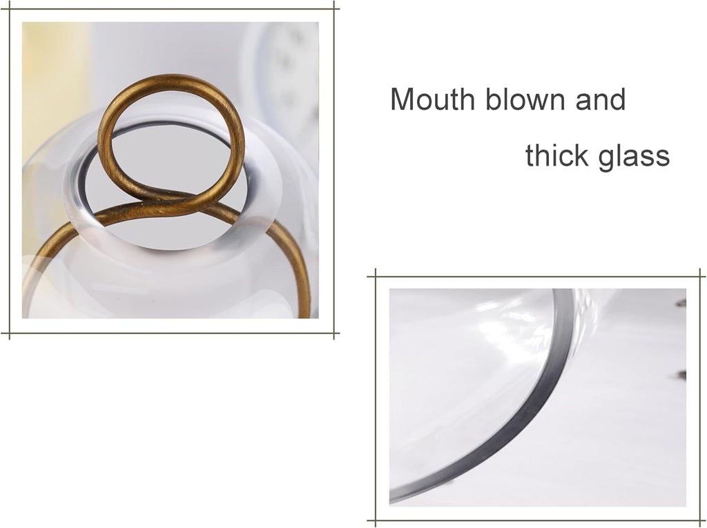 5" & 4" Wide Versatile Metal Candle Holder with Handmade Sturdy Glass Dome in Brass for Pillar Candle & Plants, 5.1"