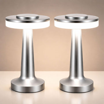 2 Pcs LED Cordless Table Lamp Bulk Rechargeable,Silver