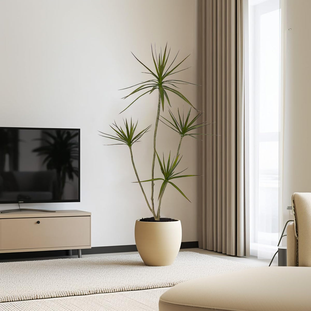 Artificial Dracaena marginata Plant, 5ft Tall Fake Tree