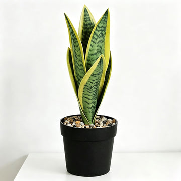 Mini plants Small Artificial Snake Plant in Black Pot 10.5" - Green