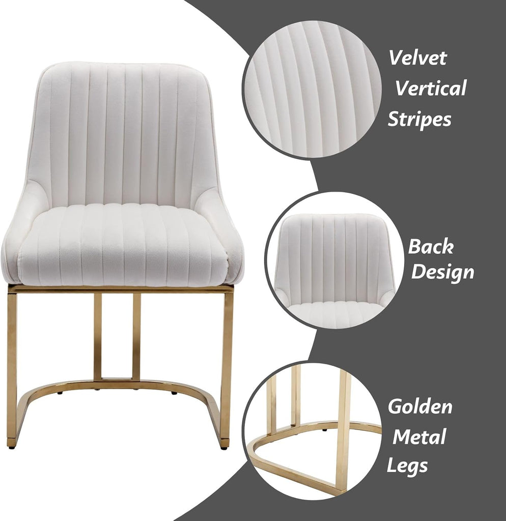 White Dining Chairs Set of 2 Velvet Upholstered Dining Room Chairs with Gold Legs Modern Armless Kitchen Chairs with