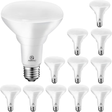 LED Recessed Light Bulbs BR30, 105W Equivalent, 1500LM, Dimmable, Daylight 5000K, Indoor Flood Lights for Recessed (12 Pack)