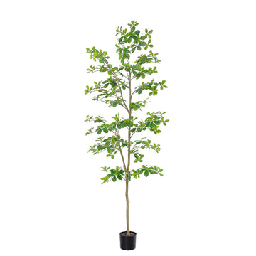 Faux Black Olive Tree 7ft, Tall Faux Trees Indoor with Natural Trunk and Realistic Leaves. 7 Feet(84in) Artificial