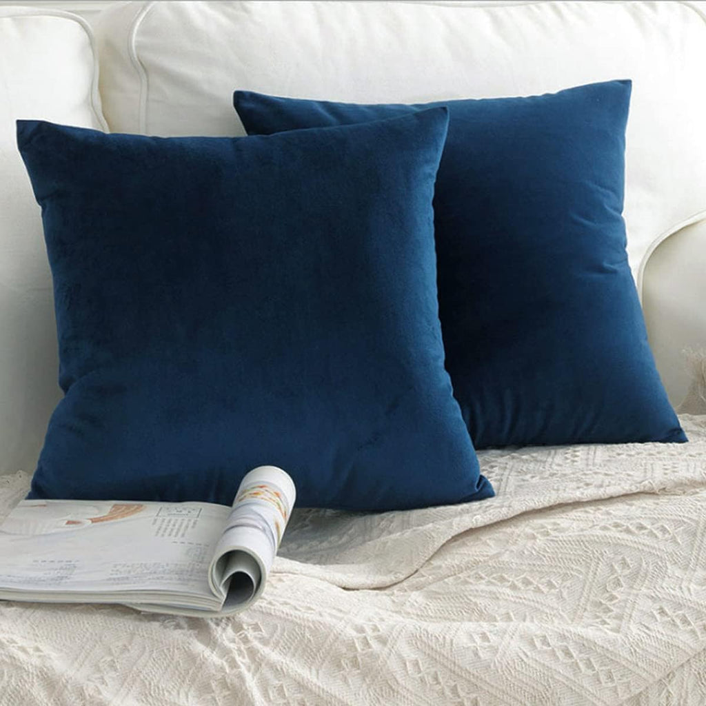 2 Pack Soft Velvet Couch Throw Pillow Covers 20x20 Inch