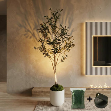 Artificial Olive Tree with Large Modern Planter, Rechargeable Wireless LED Light & Moss - Realistic Fake Potted