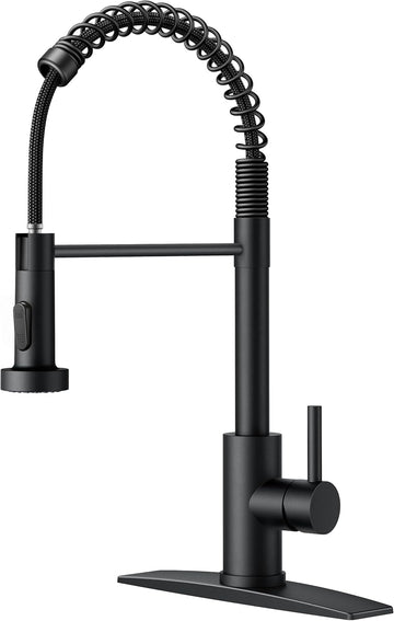 Black Kitchen Faucet with Pull Down Sprayer