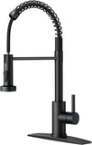 Black Kitchen Faucet with Pull Down Sprayer