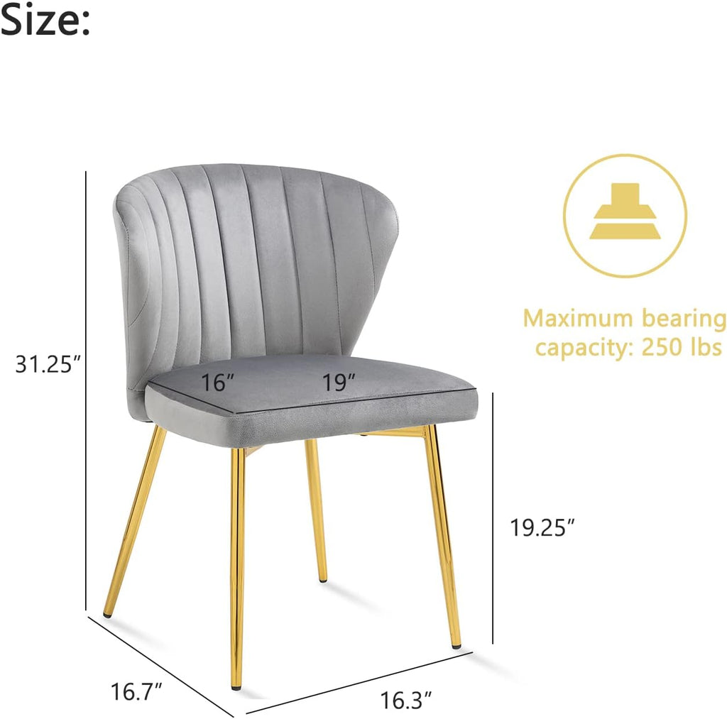 Upholstered Dining Chairs Set of 2, Velvet Dining Chair with Golden Metal Legs, Mid Century Modern Dining Chairs for