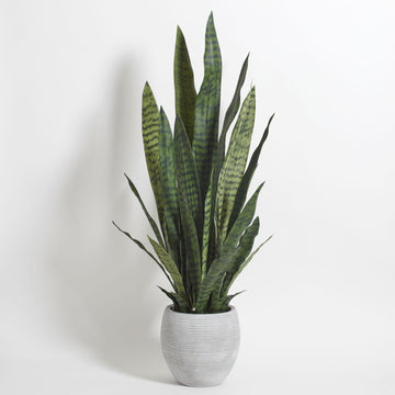 Faux Snake Plant, 40 in, Grey, Home Decor