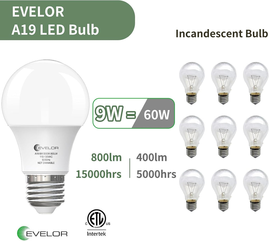 A19 LED Light Bulbs,60 Watt Equivalent Daylight 5000K with E26 Base,Efficient 9W,800 Lumens Non-Dimmable LED Bulbs