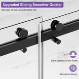 Shower Door, 60" W x 74" H Frameless Shower Door