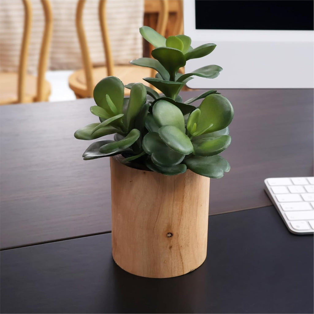 Artificial Succulents Plastic Artificial Green Plant Decor (Set of 3 Succlents in Wooden pots)