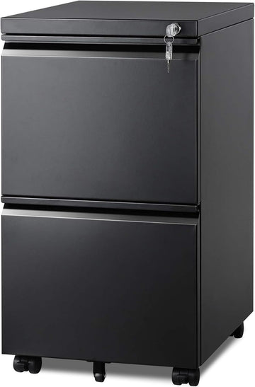 2 Drawer Metal File Cabinet, Fully Assembled Filing Cabinet | Under Desk Mobile File Cabinet with Lock , Fits