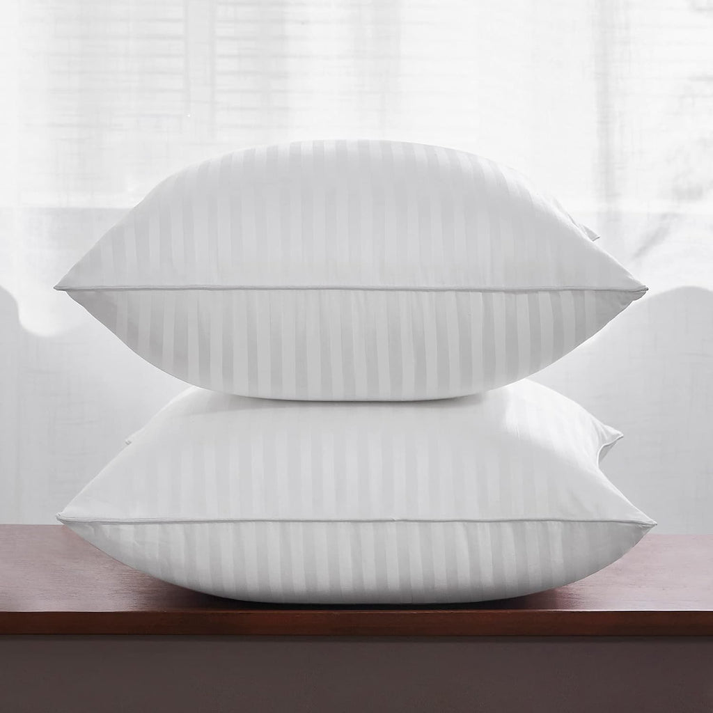 20 x 20 Throw Pillow Inserts - Set of 2