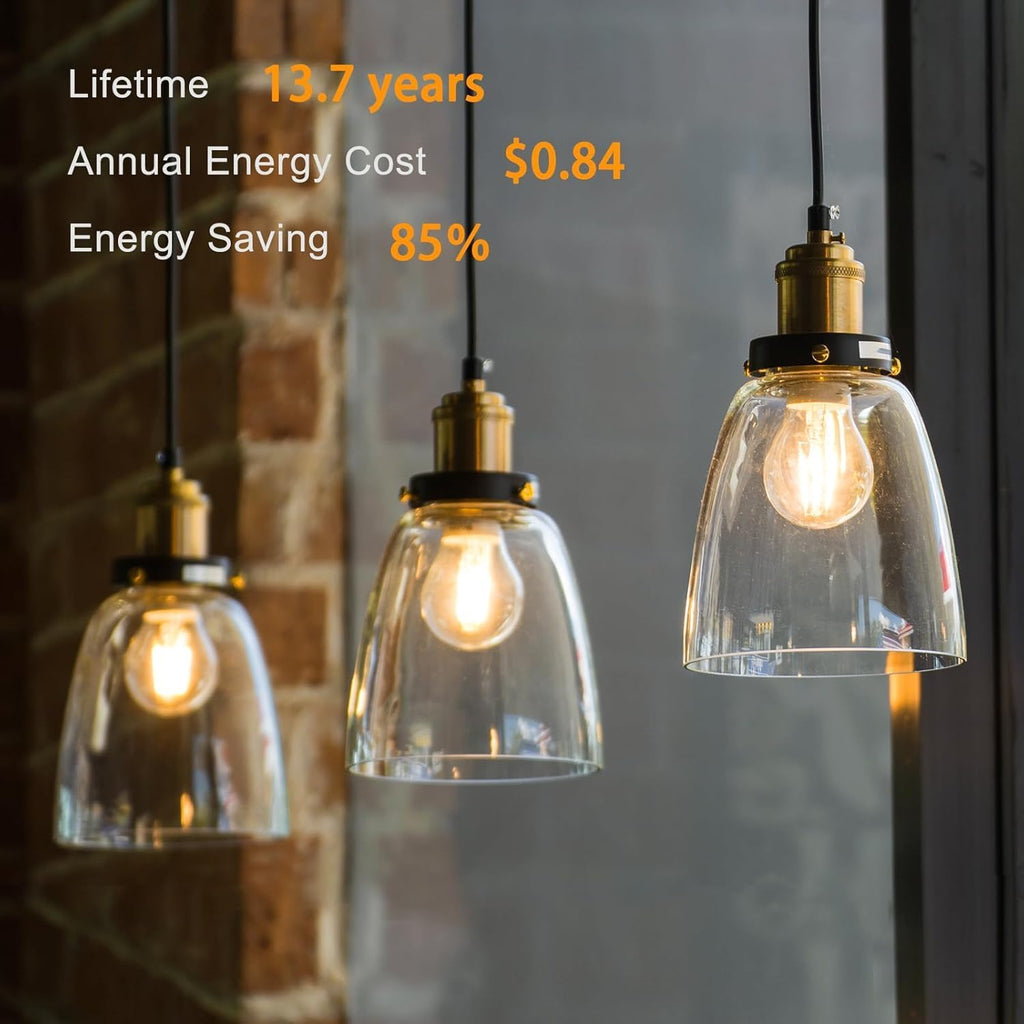 12 Pack A19 Vintage LED Edison Bulbs, Dimmable, 60W Equivalent, High Brightness 2700K Soft White, 8W E26 Standard