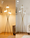 Tripod Floor Lamp Stepless Dimmable Gold Standing Tall Lamps with 3PCS Elliptical Lampshades Mid Century Modern Floor