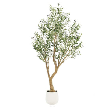 Artificial Olive Treewith White Pot, 6.5FT