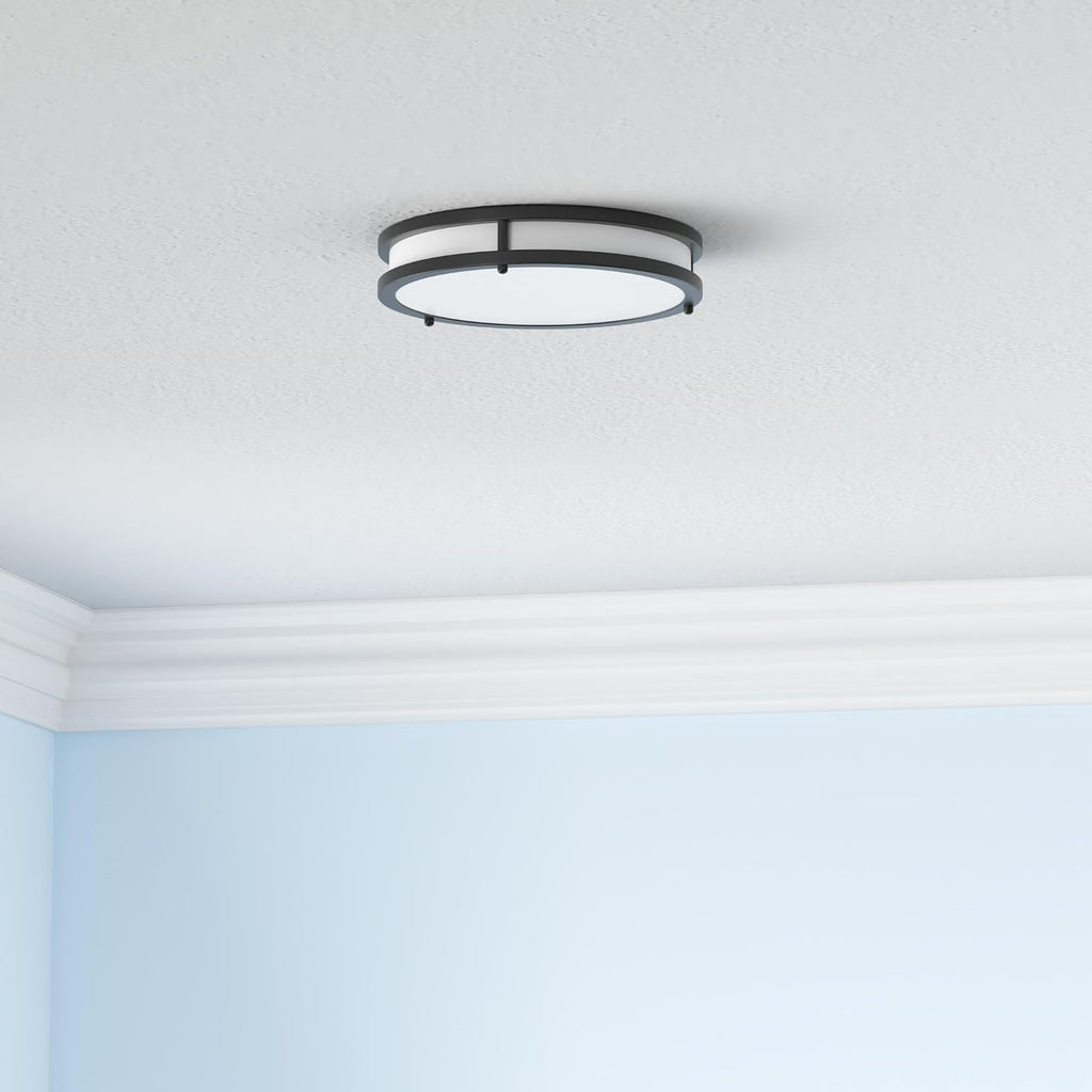 Flush Mount Ceiling Light Black 30W 5CCT Dimmable 10 Inch 2-Pack | 4000LM 2700K/3000K/4000K/5000K/6500K Adjustable