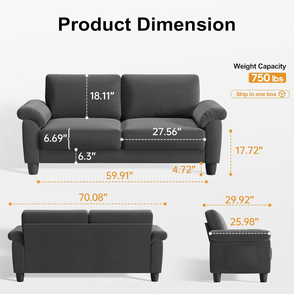 70" Living Room Couch Sofa, Mid Century Modern Loveseat, Velvet Deep Couches for Small Spaces, Bedroom