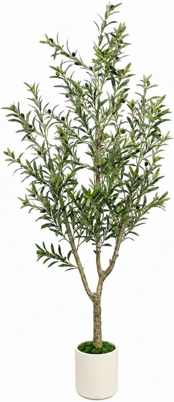 Olive Trees Artificial Indoor, 6ft Tall Olive Tree with White Planter, Faux olive tree with Natural Wood Trunk &