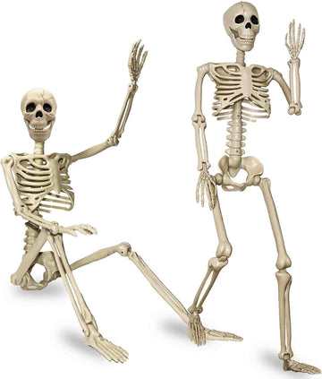 24"Halloween Skeleton - 2 ft Life Size Human Skeleton with Full Body Posable Joints Plastic Skeleton - Set of 2