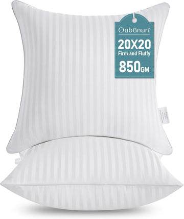 20 x 20 Throw Pillow Inserts - Set of 2