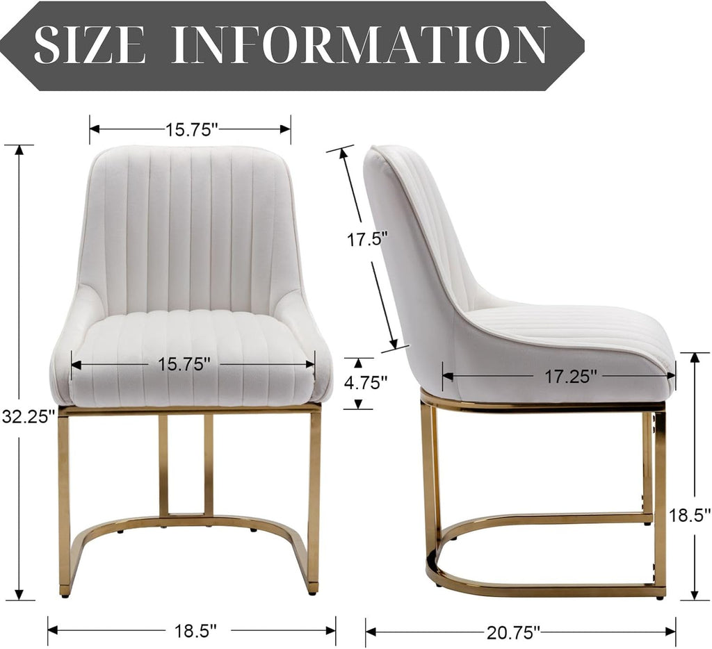 White Dining Chairs Set of 2 Velvet Upholstered Dining Room Chairs with Gold Legs Modern Armless Kitchen Chairs with
