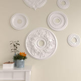 23 5/8-Inch OD Acanthus Twist Ceiling Medallion