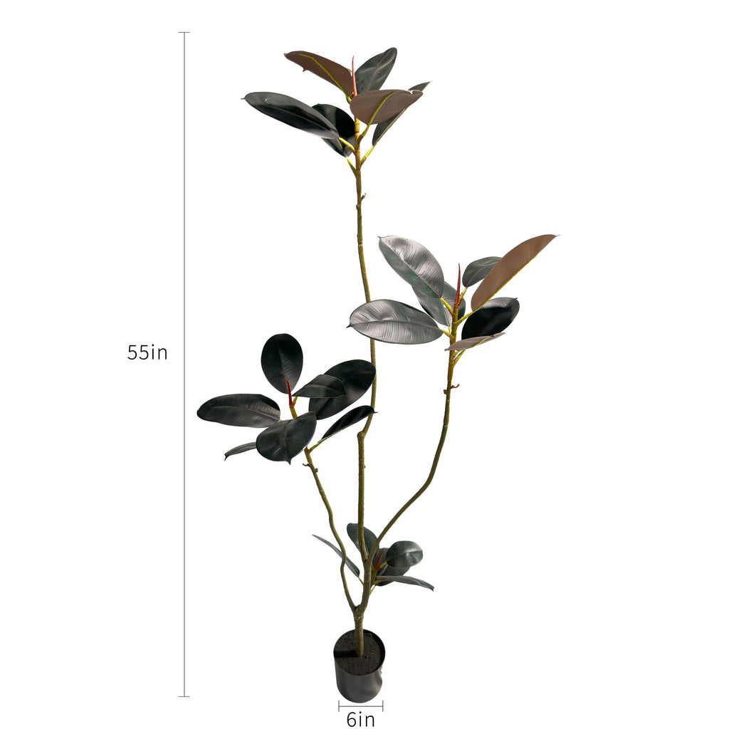 Artificial Rubber Tree 5.3ft Tall Indoor Tree