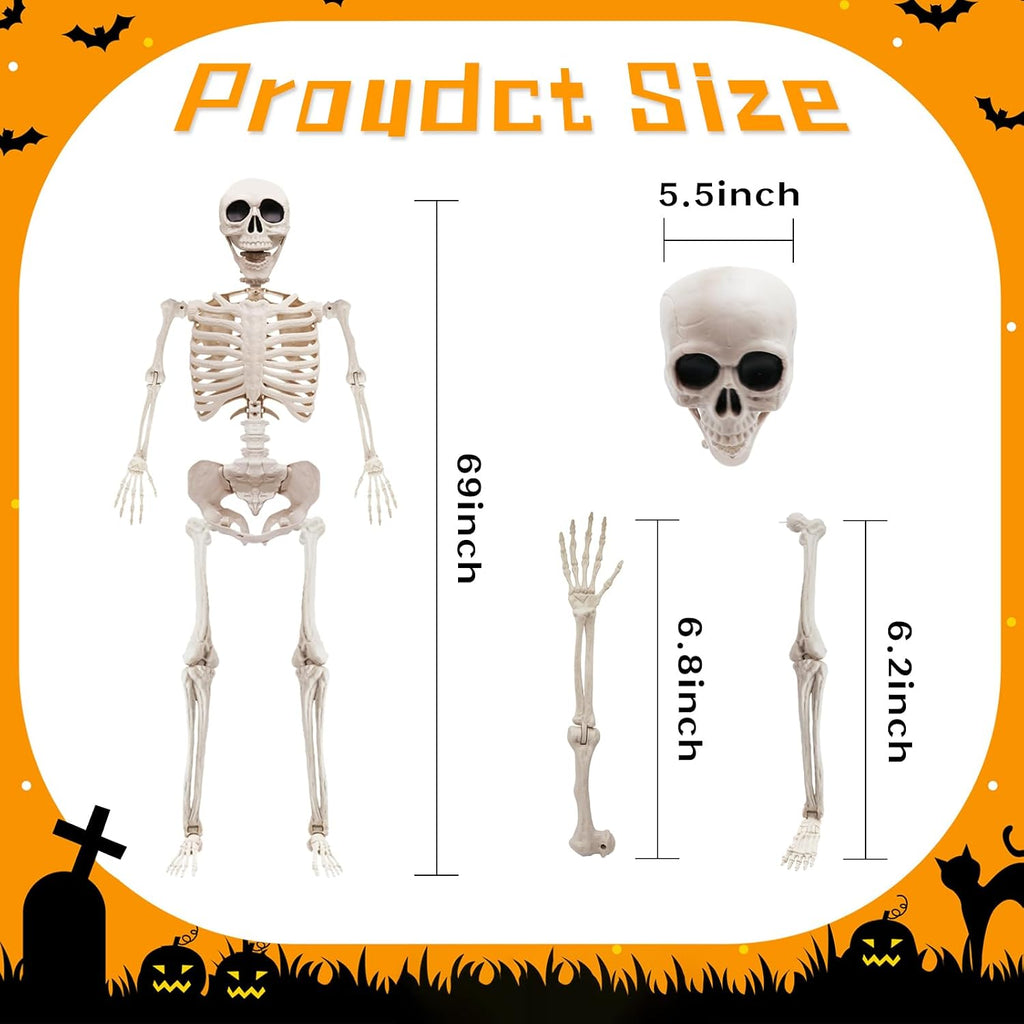 5.75ft Life Size Posable Halloween Skeleton, Movable Joints