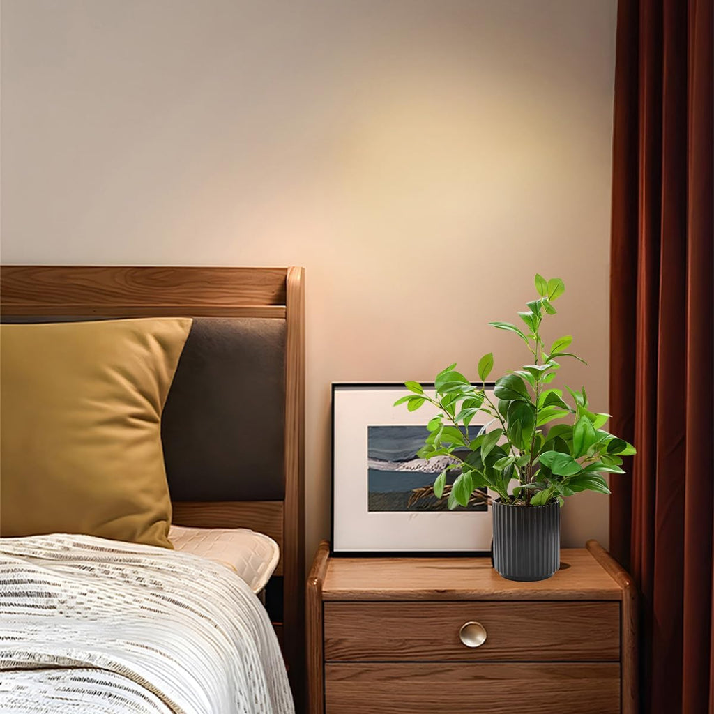 16 inch Artificial Plants Indoor Realistic Touching Evergreen Leaf Fake Plant with Creamic Black Pot Living Room