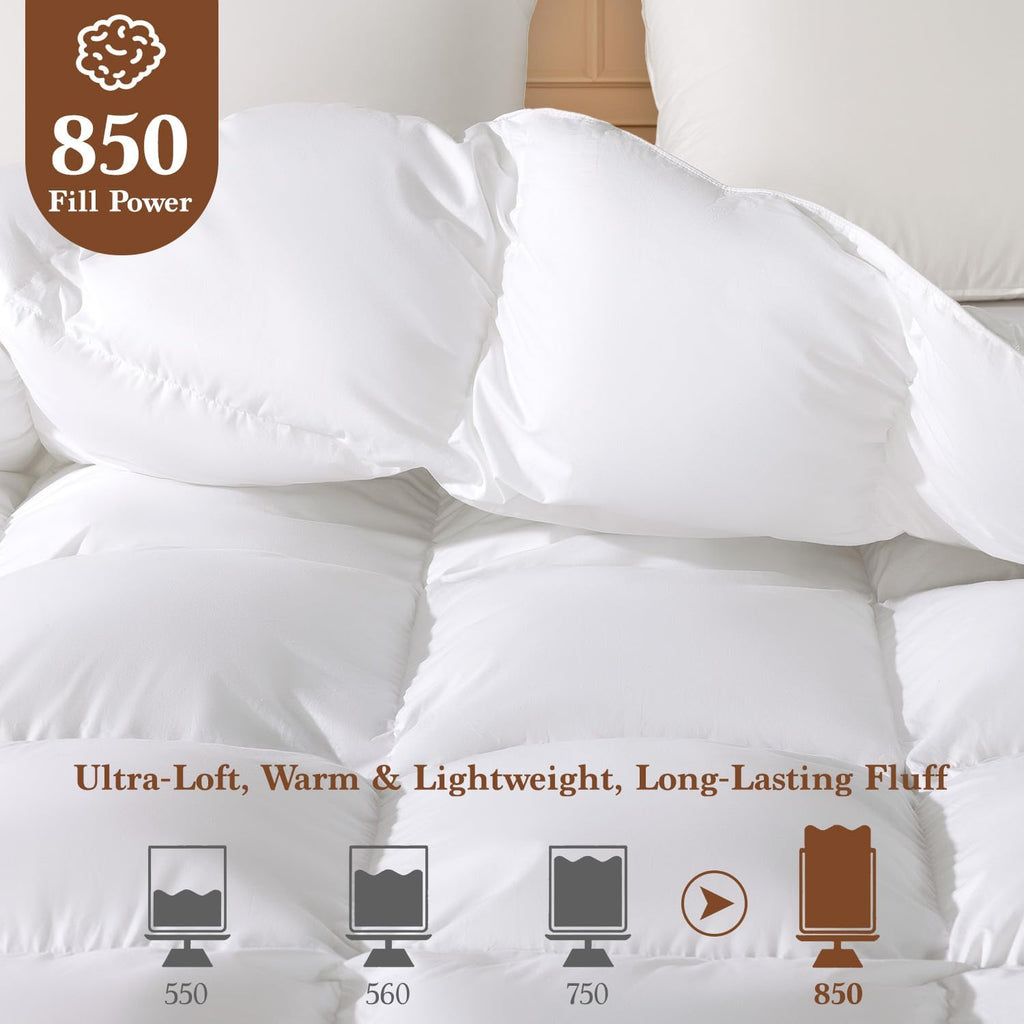 Goose Down Comforter Queen, 600 TC Cotton Cover, 850+ Fill Power, All Season Duvet Insert, 3D Baffle