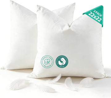Goose Feather Down Throw Pillow Inserts 22x22 Inch - Set of 2