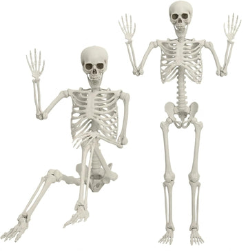 Life Size Skeleton, 5.4Ft/165cm Halloween Skeleton Poseable Skeleton Full Body Human Bones with Movable Joints