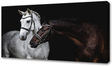 Wall Art Canvas Print Picture White and Brown Horses 1 Panel Wild Animal Painting Artwork Bedroom Office Home Wall