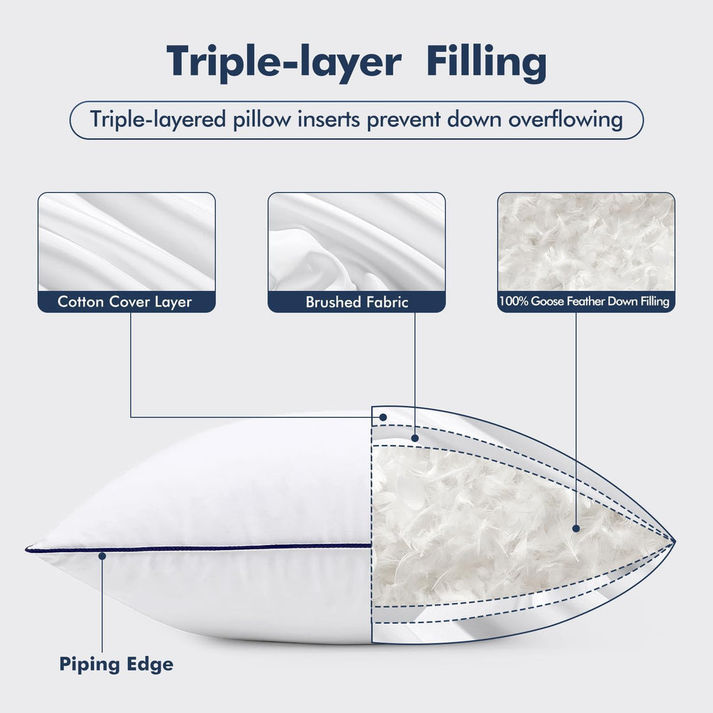 Goose Feather Down 22x22 Pillow Insert with 100% Down-Proof Cotton Cover, Soft Fluffy Decorative Pillow - Set of 2