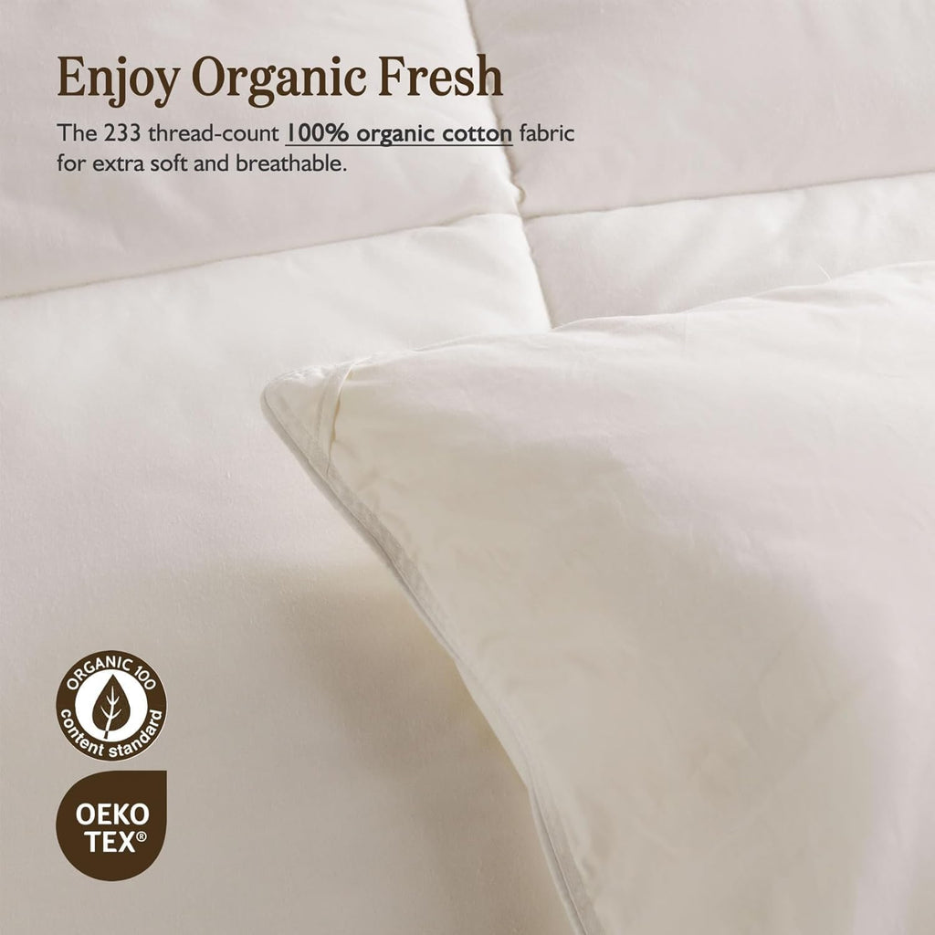 BPC Lightweight Organic Feather Down Comforter Twin, Hotel-Luxury Fluffy Duvet Insert with Cotton Cover and Puffy