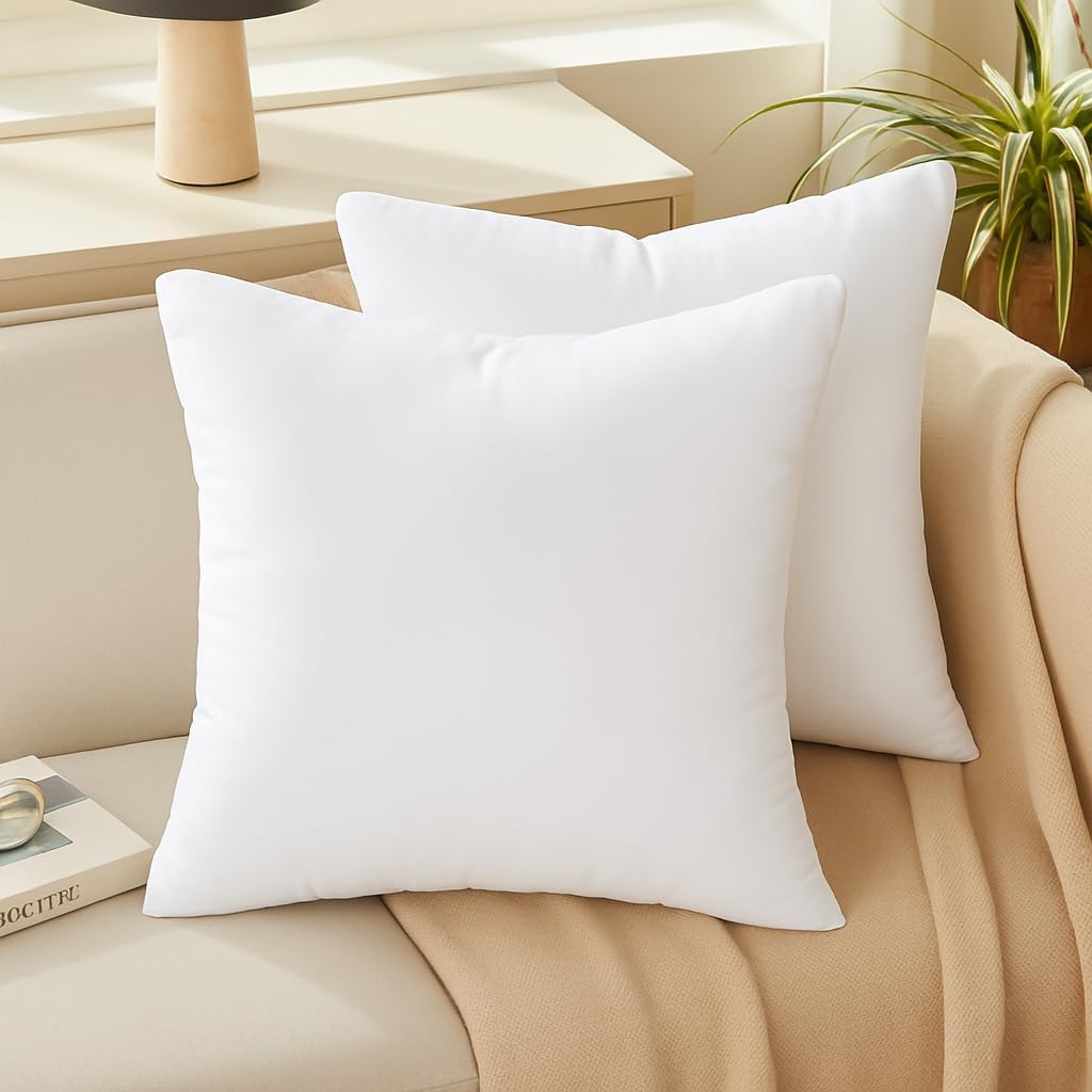 20 x 20 Throw Pillow Inserts - Set of 2