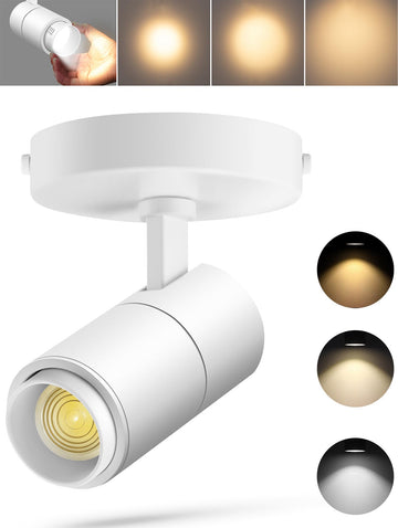 Zoomable Ceiling Spot Lights Indoor, 10W 1000lm White