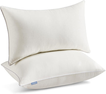 12 x 20 Lumbar Pillow Inserts for Sofa Couch Support - Set of 2