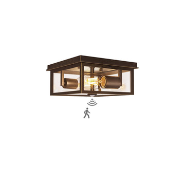 Motion Sensor Outdoor Ceiling Light with Remote, 8.5 Inch Brown and Gold Flush Mount Porch Light Fixture with United