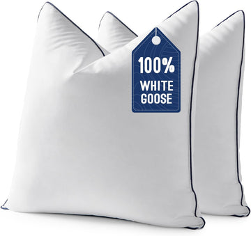 Goose Feather Down 22x22 Pillow Insert with 100% Down-Proof Cotton Cover, Soft Fluffy Decorative Pillow - Set of 2