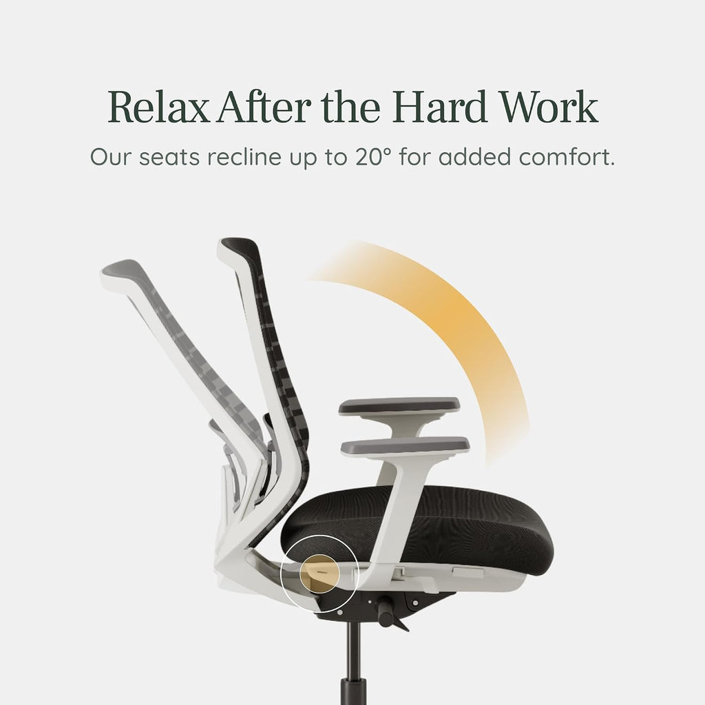 Ergonomic Chair - A Versatile Desk Chair with Adjustable Lumbar Support, Breathable Mesh Backrest, and Smooth Wheels