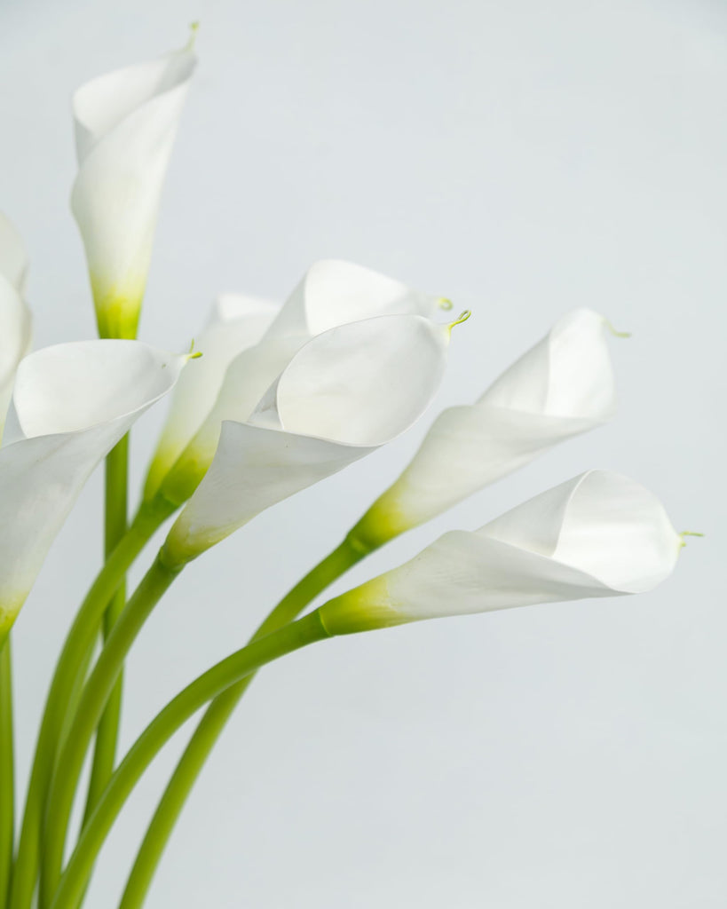 12pcs Large Calla Lily Artificial Flowers