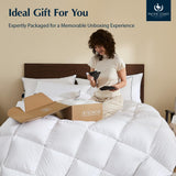 Premium Goose Down Fiber Comforter Queen, 420TC 100% Australian Cotton Shell