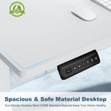 40 Inch Electric Standing Desk Height Adjustable