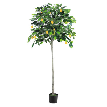 6FT Artificial Lemon Tree for Room, Faux Lemon Plant Realistic Leaves Lemon