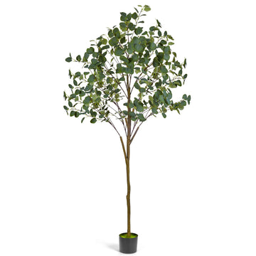 6FT Faux Eucalyptus Tree Indoor - Tall Artificial Eucalyptus Tree with Natural Trunk and Realistic Leaves, Indoor Fake