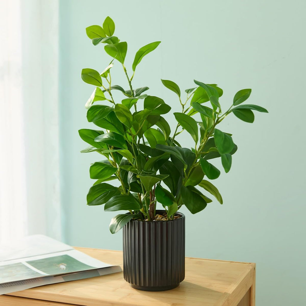 16 inch Artificial Plants Indoor Realistic Touching Evergreen Leaf Fake Plant with Creamic Black Pot Living Room