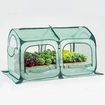 Pop up Greenhouse Tent Cover Tunnel Plant House, Large Gardening Flower Sunshine Room with Mesh Windows, Backyard PE
